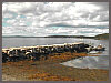 Harborside Cam