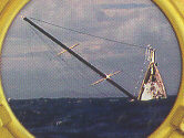 The Bird of Paradise sinking