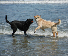 Sunny and Malcolm at the beach
