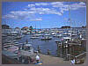 Camden Harbor Cam