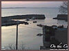 On the Cove Cam