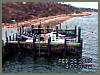Fish Pier Cam