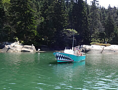 Lobsters beware!