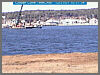 Oyster Cove Cam
