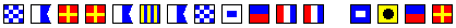 Narragansett Pier Nautical Flag