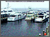 Saybrook Point Cam