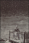 The Star Gazer