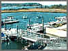 Stage Harbor Cam