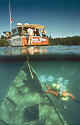 Diver and wreck