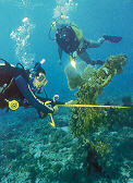 Underwater Mapping