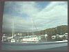 Woods Hole Webcam2